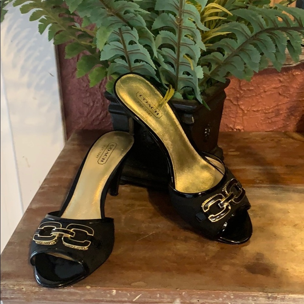 COACH Size 6